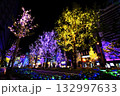 01-イルミネーションが輝く 132997633