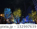 06-イルミネーションが輝く 132997639