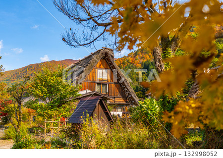 白川郷　紅葉 132998052