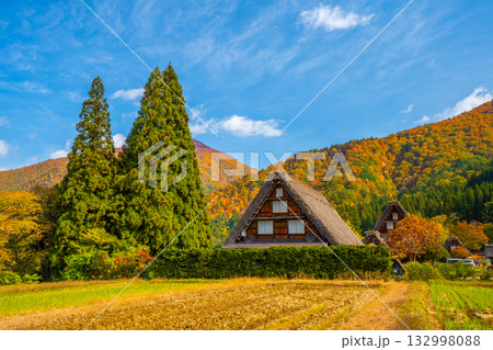 白川郷 紅葉 秋の絶景 白川郷 紅葉 秋の絶景 132998088