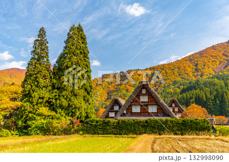 白川郷 紅葉 秋の絶景 白川郷 紅葉 秋の絶景 132998090