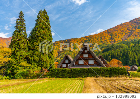 白川郷　紅葉　秋の絶景 132998092