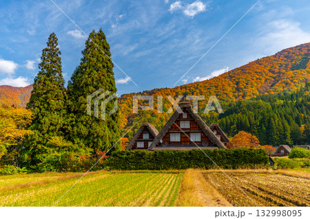 白川郷 紅葉 秋の絶景 白川郷 紅葉 秋の絶景 132998095