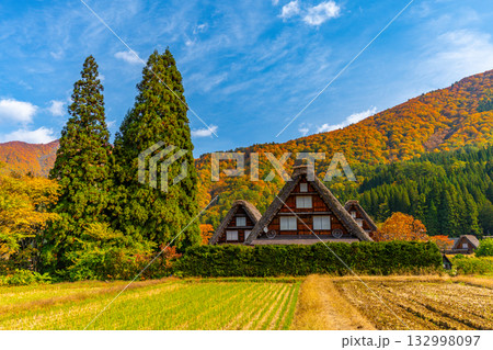 白川郷　紅葉　秋の絶景 132998097