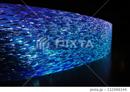 イワシのパフォーマンス イワシのパフォーマンス 132998144