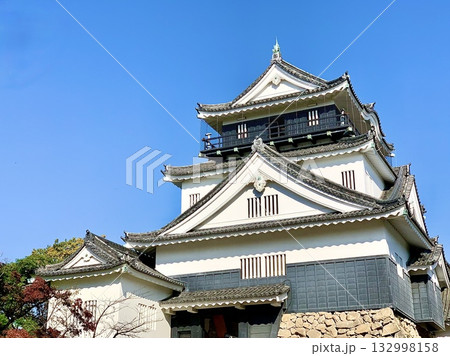 秋晴れの青空に映える岡崎城天守閣を仰ぎ見る〈岡崎城公園/愛知県岡崎市〉 132998158