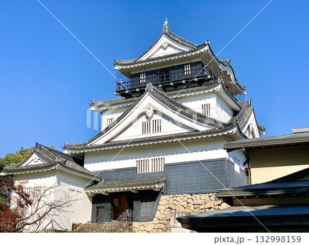 秋晴れの青空に映える岡崎城天守閣を仰ぎ見る〈岡崎城公園/愛知県岡崎市〉 秋晴れの青空に映える岡崎城天守閣を仰ぎ見る〈岡崎城公園/愛知県岡崎市〉 132998159