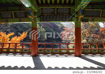 Korean temples colored with autumn leaves. 132998202