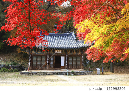 Korean temples colored with autumn leaves. Korean temples colored with autumn leaves. 132998203