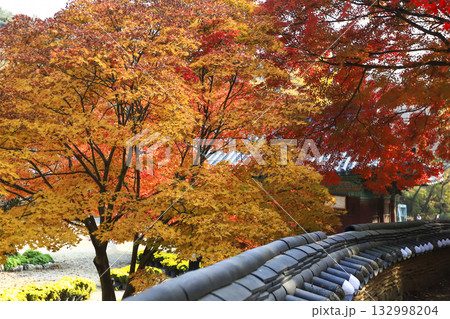 Korean temples colored with autumn leaves. 132998204