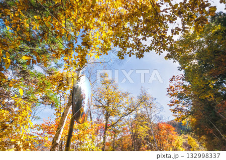 251106乗鞍青年の家s015 132998337