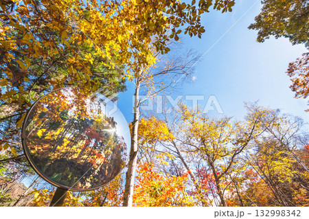 251106乗鞍青年の家s025 251106乗鞍青年の家s025 132998342