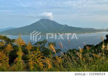 鹿児島 杉山公園付近より噴煙たなびく桜島を望む 鹿児島 杉山公園付近より噴煙たなびく桜島を望む 132998524