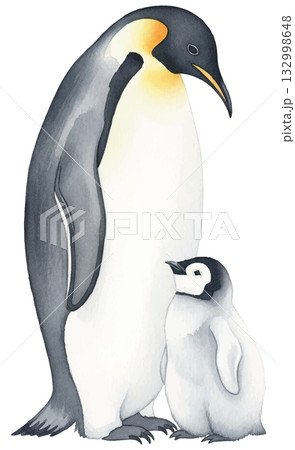 コウテイペンギンの親子 132998648