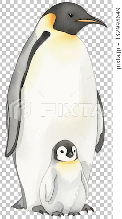 コウテイペンギンの親子 132998649