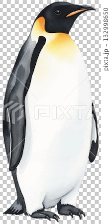 Penetration Penguin 132998650