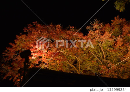京都の紅葉 京都の紅葉 132999284