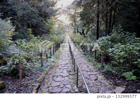 栃木市　太平山神社参道 132999377