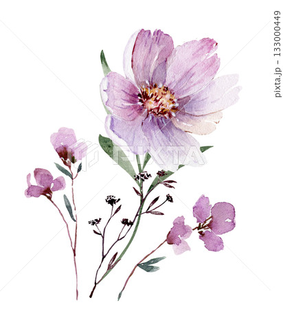 Bouquet of delicate pink flowers, isolated hand drawn watercolor illustration Bouquet of delicate pink flowers, isolated hand drawn watercolor illustration 133000449