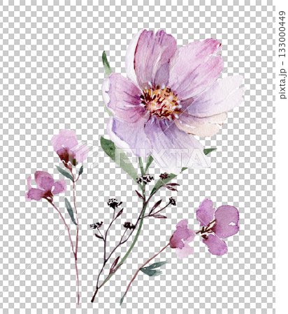 Bouquet of delicate pink flowers, isolated hand drawn watercolor illustration Bouquet of delicate pink flowers, isolated hand drawn watercolor illustration 133000449