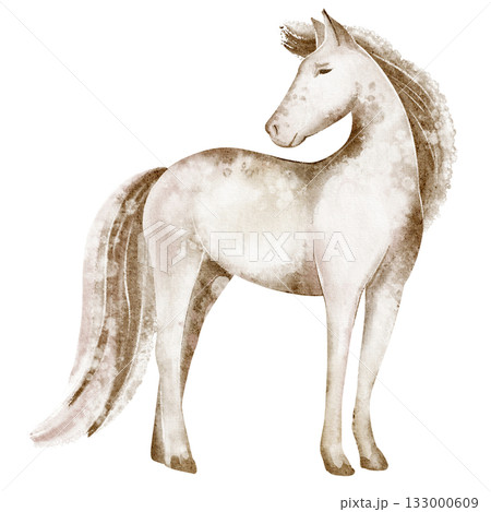Watercolor illustration of a horse standing in calm pose. Domestic equine animal, isolated figure for poster, card, or design. Suitable for zoo, livestock, or breed study. 133000609