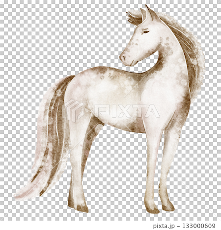 Watercolor illustration of a horse standing in calm pose. Domestic equine animal, isolated figure for poster, card, or design. Suitable for zoo, livestock, or breed study. 133000609