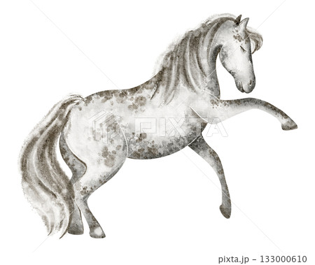 Horse watercolor illustration. Standing animal, isolated on white for poster or study. Equine mammal image for design, zoo, or livestock theme. Horse watercolor illustration. Standing animal, isolated on white for poster or study. Equine mammal image for design, zoo, or livestock theme. 133000610