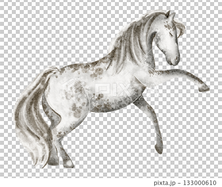 Horse watercolor illustration. Standing animal, isolated on white for poster or study. Equine mammal image for design, zoo, or livestock theme. Horse watercolor illustration. Standing animal, isolated on white for poster or study. Equine mammal image for design, zoo, or livestock theme. 133000610