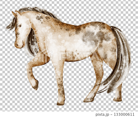 Horse watercolor illustration. Standing animal, isolated on white for poster or study. Equine mammal image for design, zoo, or livestock theme. 133000611