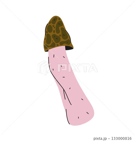 Vector bamboo or basket mushroom with net. Bridal veil tropical forest fungus. Veiled lady netted flora or stinkhorn sign. Edible fungi. Dyctyophora indusiata nature. Botany and biology, mycology. Vector bamboo or basket mushroom with net. Bridal veil tropical forest fungus. Veiled lady netted flora or stinkhorn sign. Edible fungi. Dyctyophora indusiata nature. Botany and biology, mycology. 133000816