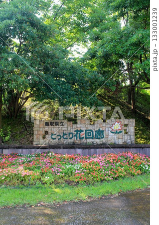 鳥取県立とっとり花回廊 133001239