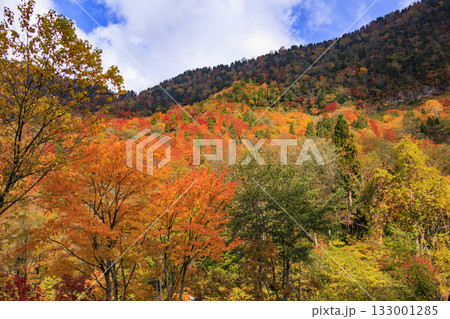 紅葉見頃な称名滝 133001285