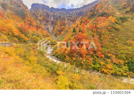 紅葉見頃な称名滝 133001304