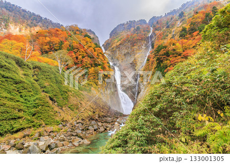 紅葉見頃な称名滝 紅葉見頃な称名滝 133001305