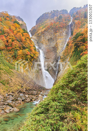紅葉見頃な称名滝 紅葉見頃な称名滝 133001307