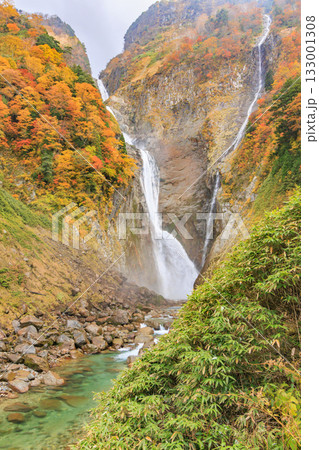 紅葉見頃な称名滝 紅葉見頃な称名滝 133001308