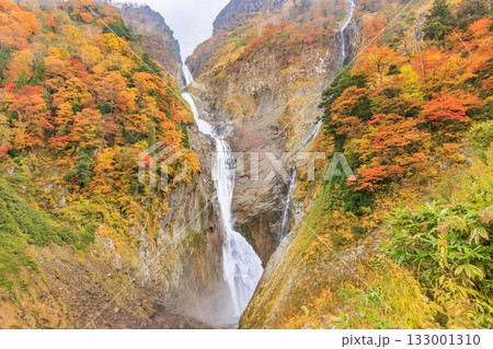 紅葉見頃な称名滝 133001310