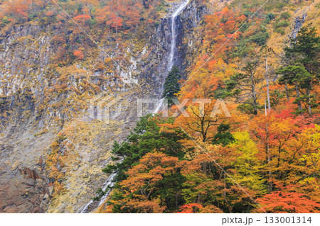 紅葉見頃な称名滝 紅葉見頃な称名滝 133001314