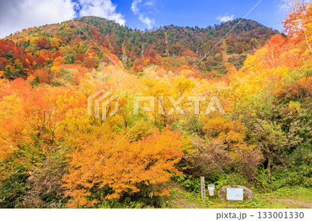 紅葉見頃な称名滝 133001330