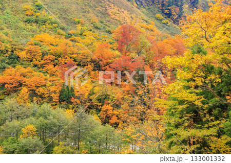 紅葉見頃な称名滝 133001332