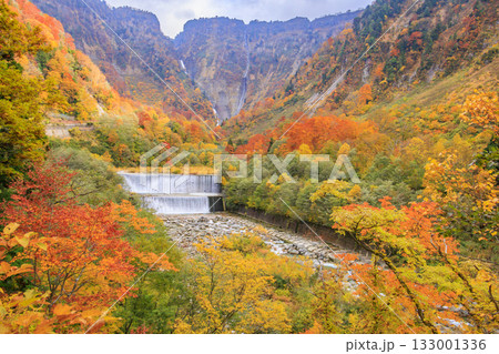 紅葉見頃な称名滝 133001336