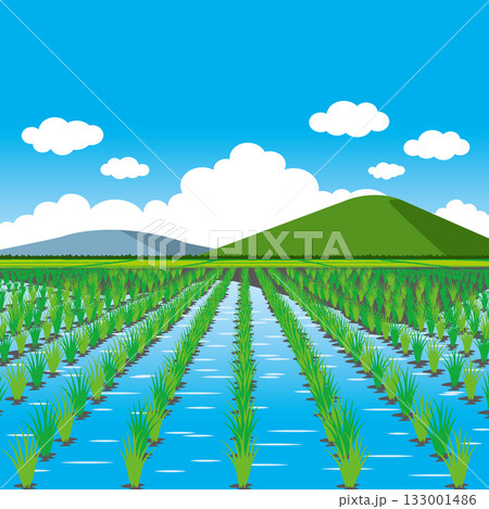 田んぼ風景 133001486