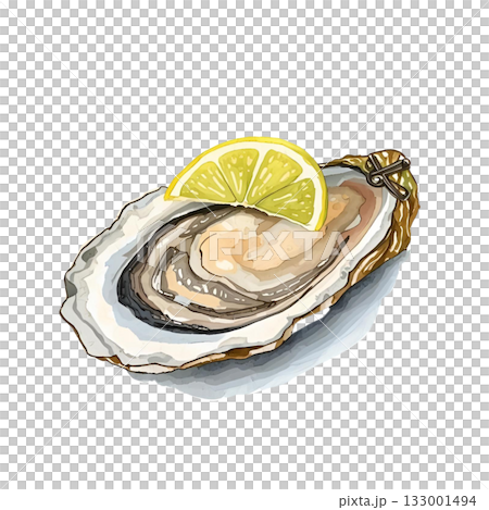 牡蠣配檸檬片的插圖 133001494