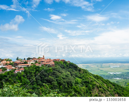 Sighnaghi town on top of mount and Alazani valley 133001658