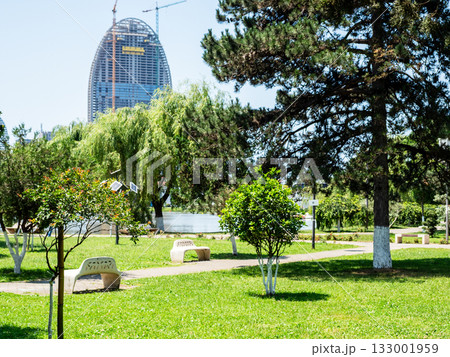 May 6th Park in Batumi city on sunny summer day May 6th Park in Batumi city on sunny summer day 133001959