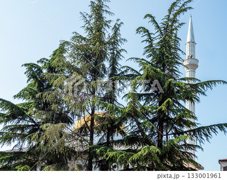 trees and Mosque in background in Batumi city trees and Mosque in background in Batumi city 133001961