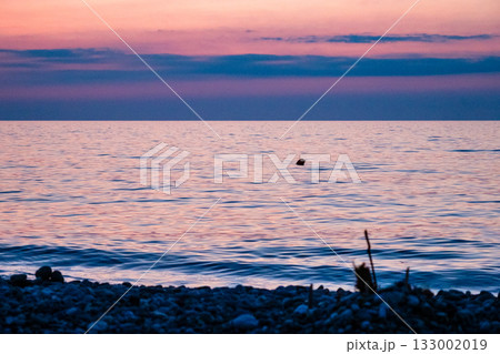 pink and blue water of Black Sea in summer dusk 133002019