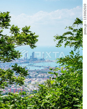 above view of port and Batumi city from Sameba 133002020