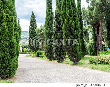 park around Holy Trinity Cathedral in Tbilisi city park around Holy Trinity Cathedral in Tbilisi city 133002318
