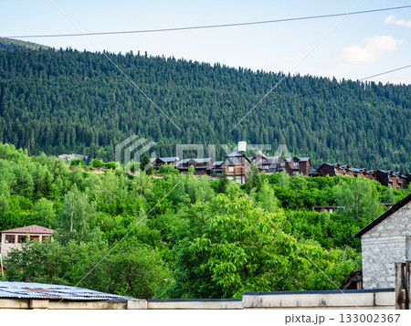 guesthouses in Mestia town on green mountain slope 133002367